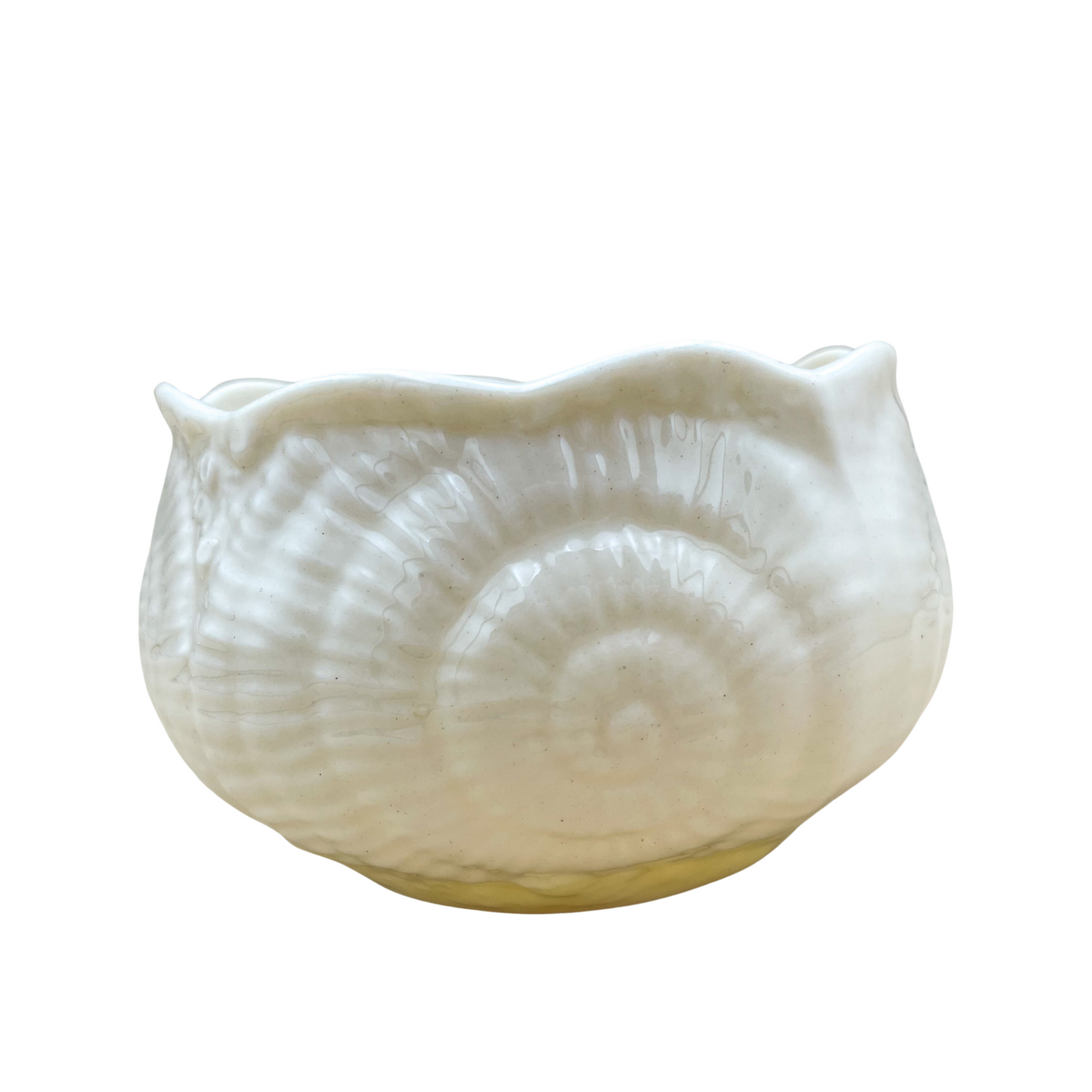 Vintage Belleek Ireland Shell Bowl